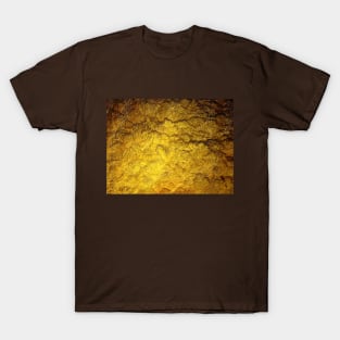 Prehistoric Cave Wall texture T-Shirt